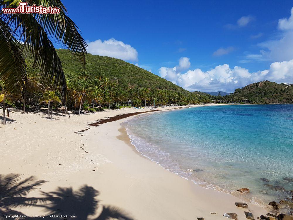 Le foto di cosa vedere e visitare a Peter Island