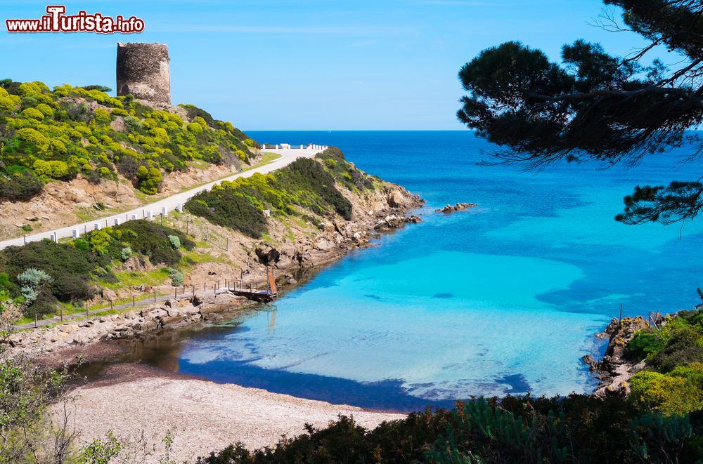 Immagine Una bella spiaggia e la Torrre Spagnola dell'Isola dell' Asinara in Sardegna
