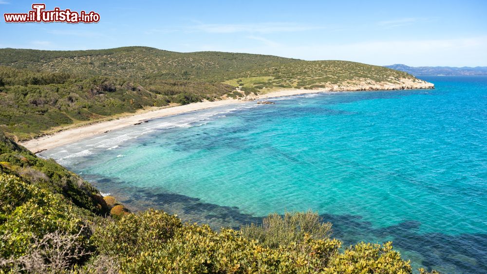 Immagine Una bella spiaggia selvaggia sull'isola di Sant'Antioco, siamo in Sardegna sud-orientale