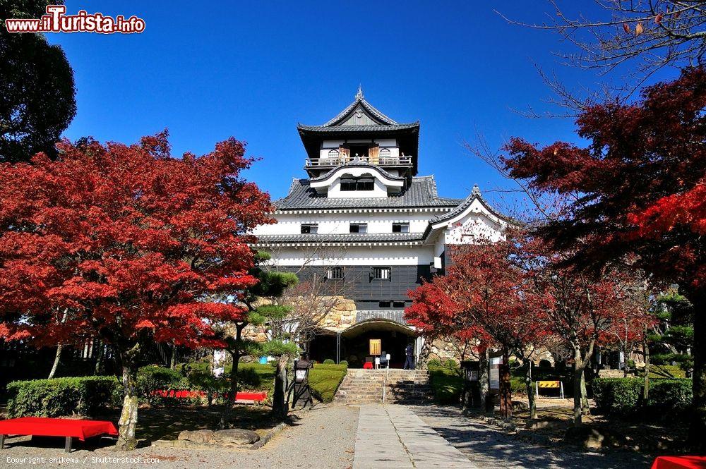 Immagine Una bella veduta del castello di Inuyama, Giappone, con gli aceri rossi. La fortezza mantiene intatta ancora oggi la struttura in legno originale e si distingue per il mastio, il più antico del Giappone. Dal quarto piano del torrione si riesce a vedere il fiume Kiso - © shikema / Shutterstock.com