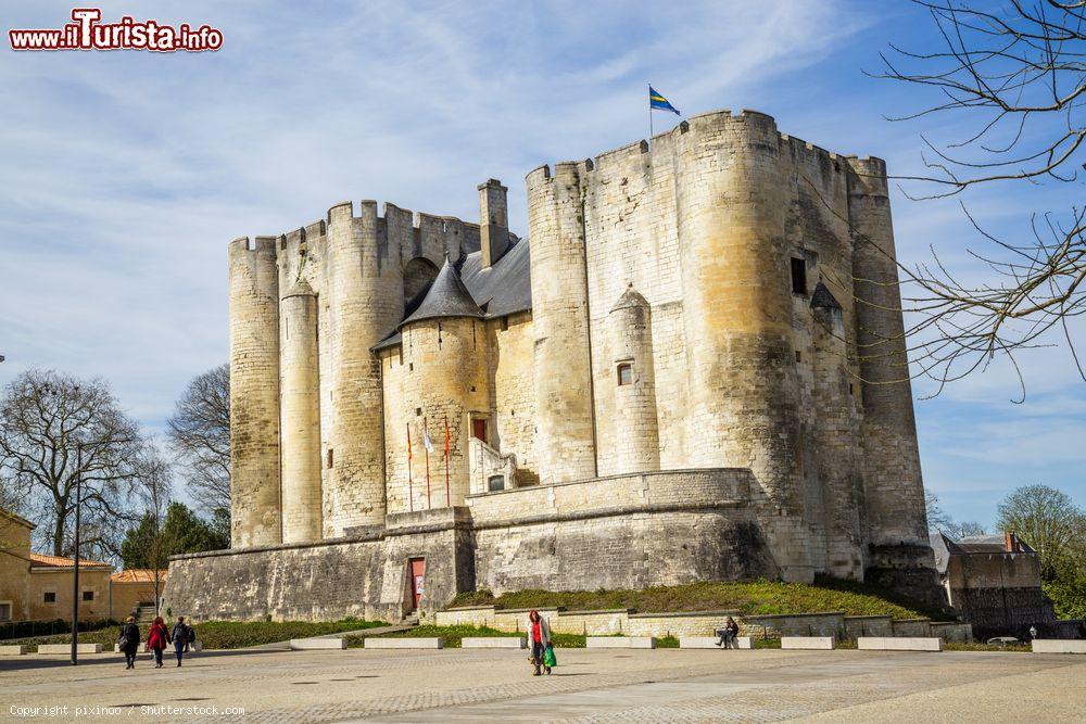 Immagine Una bella veduta del castello medievale di Niort, Francia. Questo maestoso complesso, simbolo della cittadina, è ciò che resta dell'antica fortezza costruita nel XII° secolo da Enrico II° Plantageneto e Riccardo Cuor di Leone - © pixinoo / Shutterstock.com