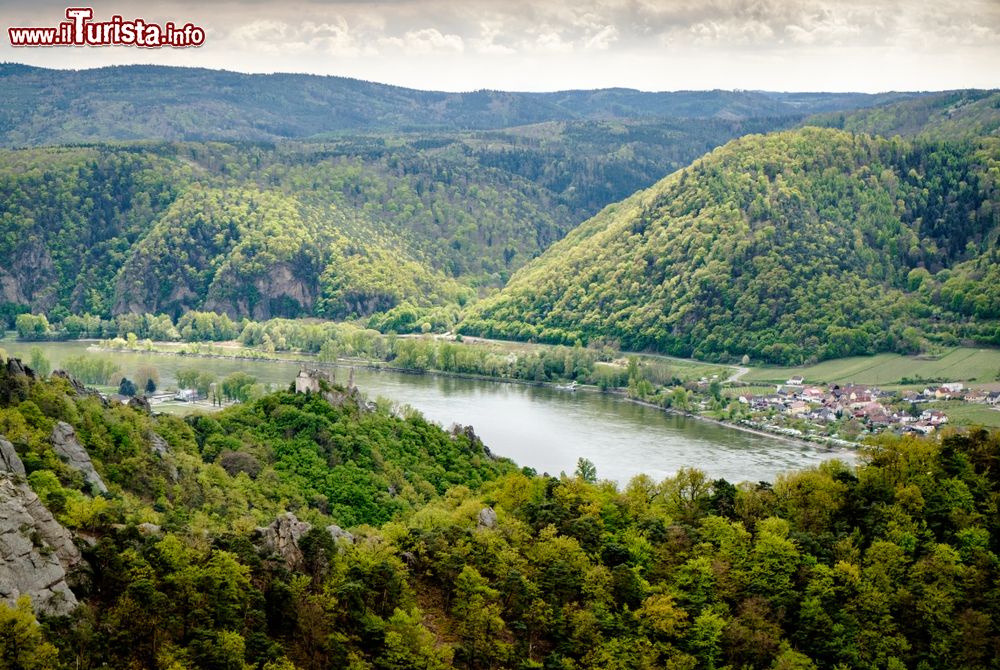 Immagine Una bella veduta del fiume Danubio circondato da boschi e foreste a Krems an der Donau, Austria.