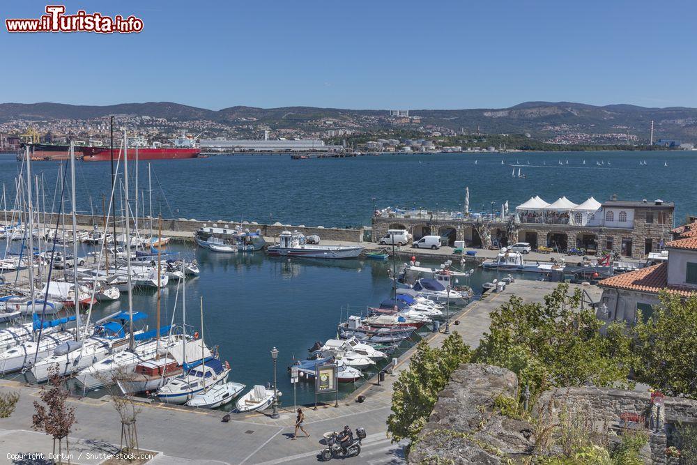 Immagine Una bella veduta del porto di Muggia con la città di Trieste sullo sfondo, Friuli Venezia Giulia - © Cortyn / Shutterstock.com