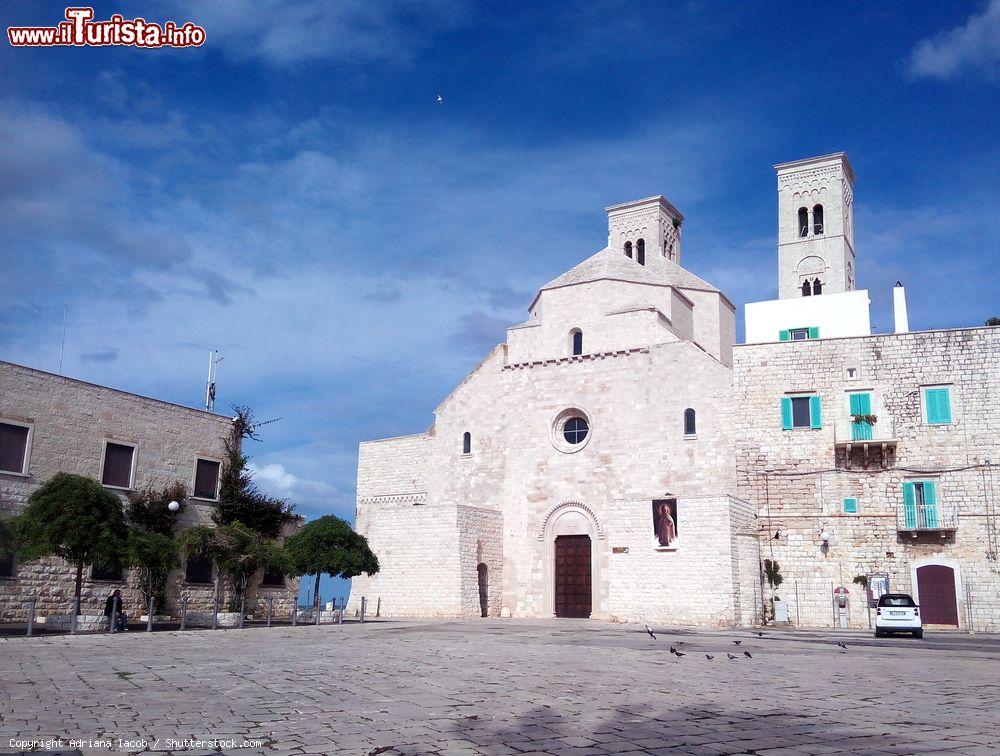 Immagine Una bella veduta della cattedrale di San Corrado a Molfetta, Puglia. Considerato il simbolo della città di Molfetta, il duomo sorge ai margini del borgo antico, di fronte al porto - © Adriana Iacob / Shutterstock.com