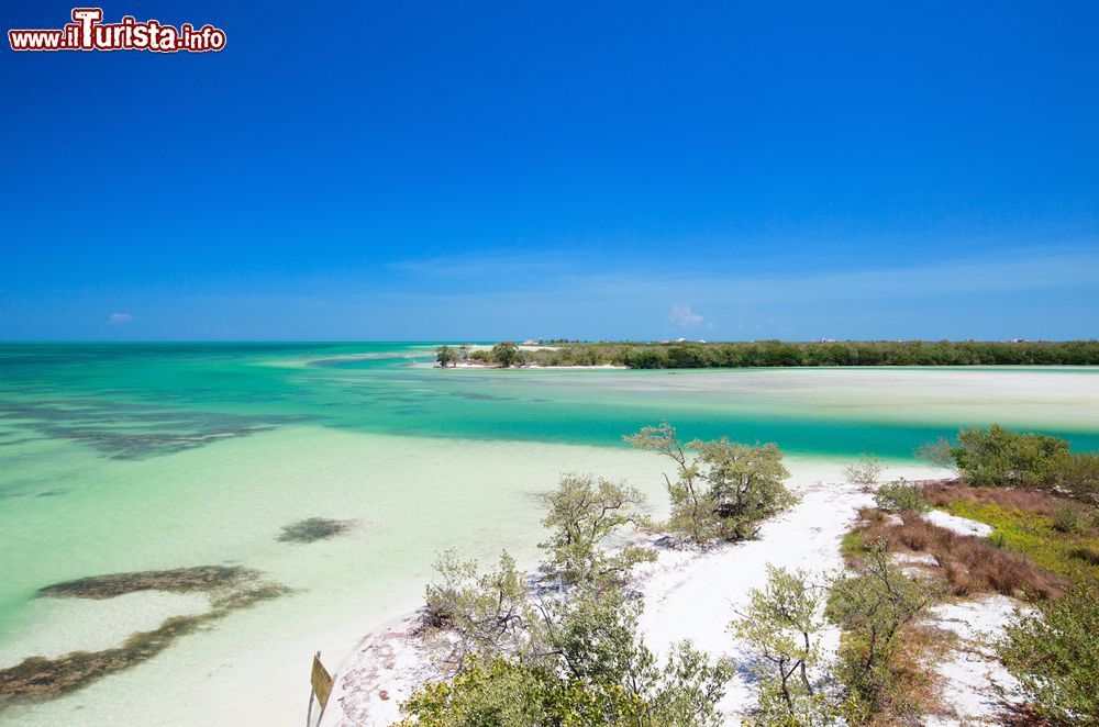 Immagine Una bella veduta dell'isola di Holbox e dell'Oceano, Messico. Ancora selvaggia e autentica, quest'isola è la meta perfetta per chi desidera trascorrere un soggiorno in mezzo alla natura.