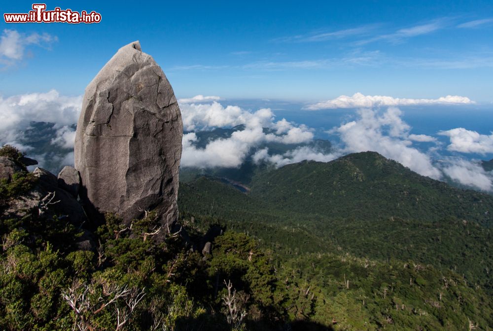 Immagine Una bella veduta panoramica dalle montagne di Yakushima, Giappone. Siamo nell'arcipelago delle isole Osumi.