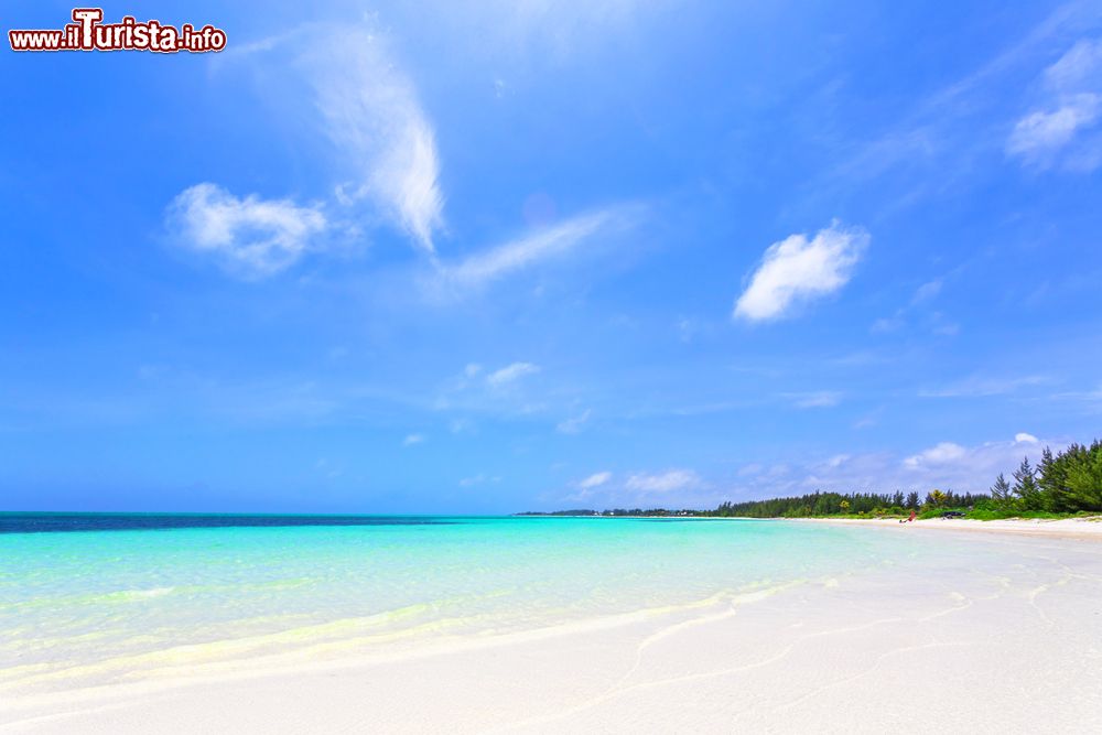 Immagine Una bella veduta panoramica di Banana Bay Beach a Freeport, Grand Bahama, Arcipelago delle Bahamas. Come la maggior parte delle spiagge caraibiche, anche questa è caratterizzata da finissima sabbia bianca e da un mare smeraldo.