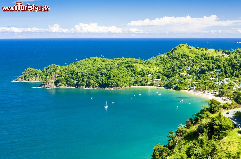 Immagine Una bella veduta panoramica di Castara Bay sull'isola di Tobago, America Centrale. Questa spiaggia lunga 308 metri è situata nell'omonimo villaggio: qui si possono praticare nuoto, snorkeling, kayak e pesca.