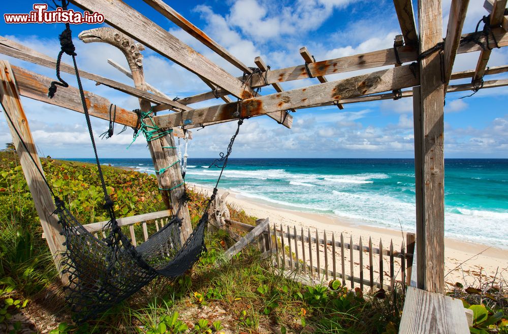 Immagine Una bella veduta sulla spiaggia tropicale e sull'oceano, isola di Eleuthera, Bahamas. Per rilassarsi, un'amaca in corda su cui dondolarsi guardando il mare.