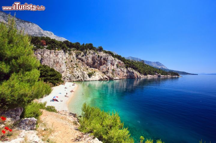 Immagine Una bellissima spiaggia della Dalmazia, con sabbie bianche, rocce, macchia mediterranea e il mare turchese della Croazia