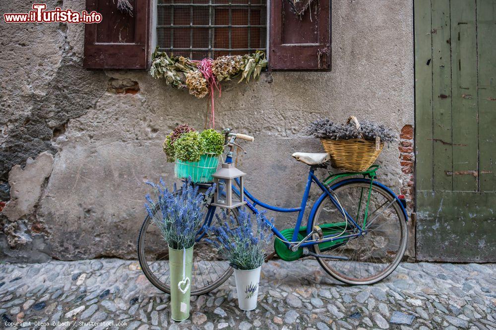 Immagine Una bicicletta come fiorera nel centro storico di Finalborgo - © Olena Zubach / Shutterstock.com