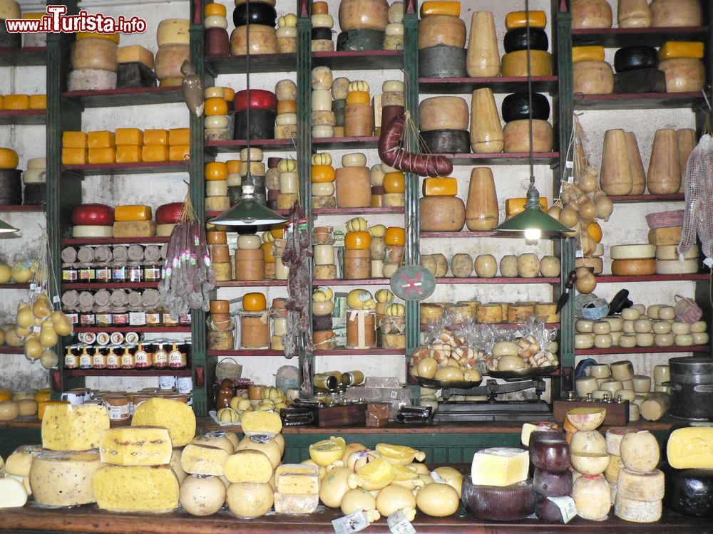 Immagine Una bottega alimentare con i formaggi tipici argentini: siamo a Tandil