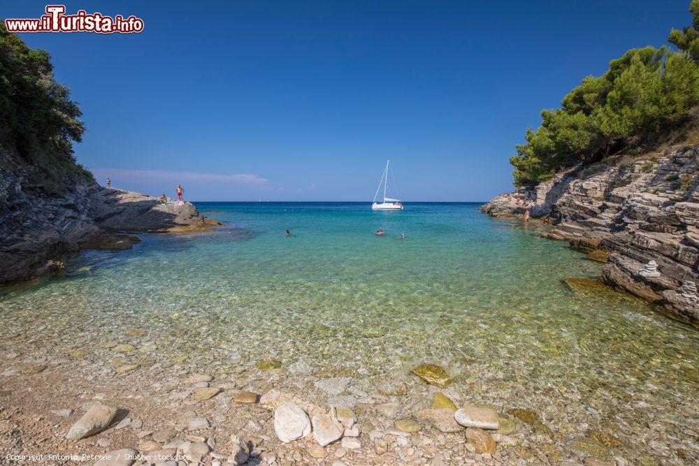 Immagine Una cala spettacolare vicino a Premantura in Croazia, costa dell'Istria. - © Antonio Petrone / Shutterstock.com