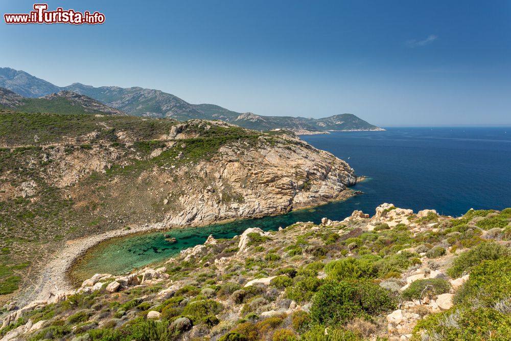Immagine Una caletta isolata sulla costa di Galeria in Corsica
