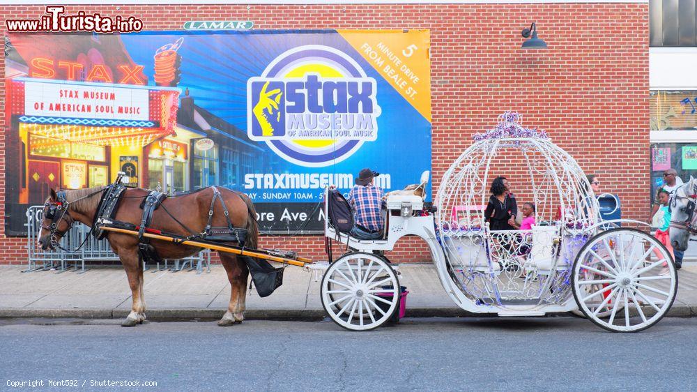 Immagine Una carrozza trainata da un cavallo lungo una strada di Memphis, Tennessee - © Mont592 / Shutterstock.com