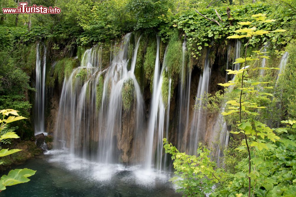 Immagine Una cascata a Gornja jezera) tra i laghi del Parco Nazionale di Plitvice nel centro della Croazia