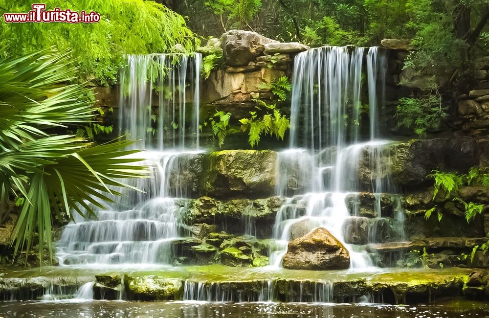 Immagine Una cascata a più salti nel Parco preistorico del giardino botanico Zilker di Austin, Texas.