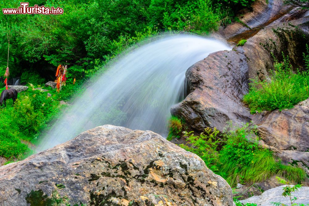 Immagine Una cascata immersa nella natura nella valle di Parvati, Himachal Pradesh, India. Questa lussureggiante vallata è caratterizzata da foreste di pini, piccoli villaggi affacciati sull'omonimo fiume e campi terrazzati.