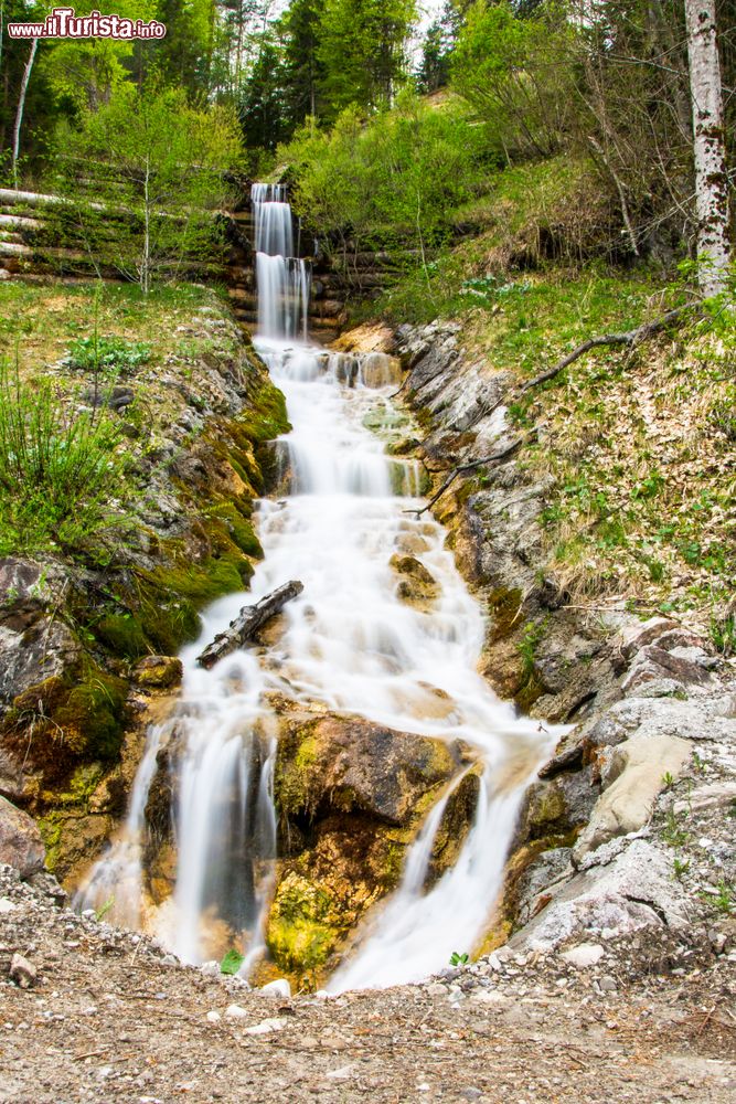 Immagine Una cascata nei dintorni di Forni di Sopra in Friuli Venezia Giulia