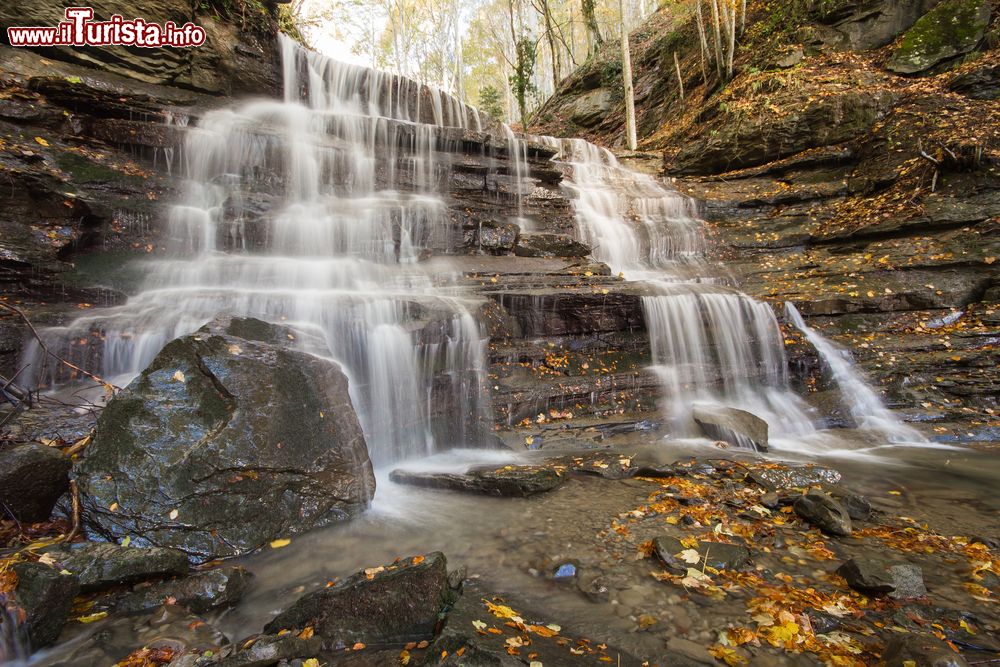 Immagine Una cascata nel Parco Nazionale delle Foreste Casentinesi a Camaldoli, Toscana. Panorama autunnale del paesaggio ospitato fra le province di Folrì-Cesena, Arezzo e Firenze.
