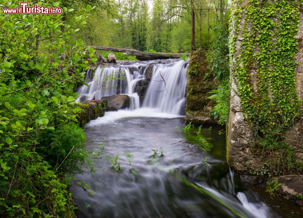 Immagine Una cascata sul fiume nella cittadina di O Corgo, vicino a Lugo, Galizia.