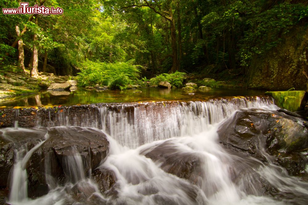 Immagine Una cascata tropicale nel parco nazionale di Daintree, Australia.