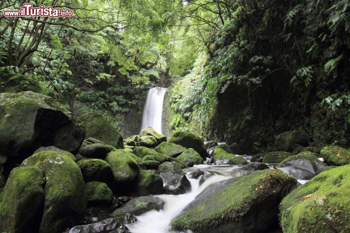 Immagine Una cascatella nella foresta dell'isola di Sao Miguel, Azzorre (Portogallo) - © 109496612 / Shutterstock.com
