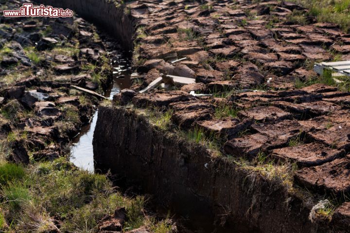 Immagine Una cava di torba sull'isola di Lewis and Harris, Scozia - Particolare di una torbiera, ambiente caratterizzato da grande abbondanza di acqua in movimento lento e a bassa temperatura dove si sviluppa una vegetazione prevalentemente erbacea tipica di luoghi umidi © Anneka / Shutterstock.com