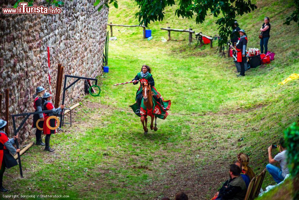 Immagine Una cavallerizza in costume medievale al carnevale di Chatenois, Francia - © bonzodog / Shutterstock.com