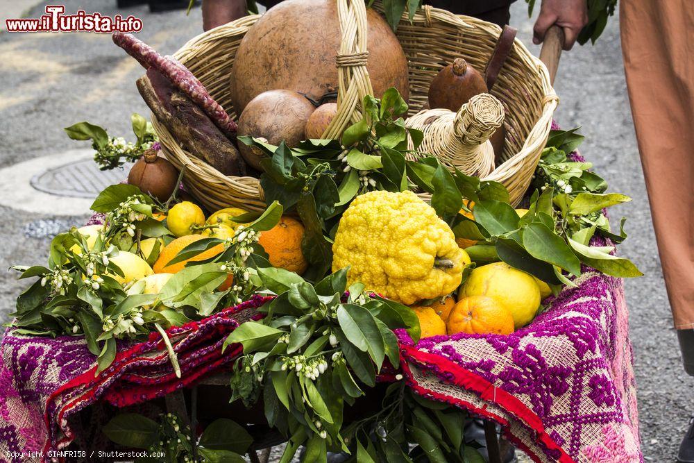 Immagine Una composizione di frutta alla Sagra degli Agrumi di Muravera in Sardegna - © GIANFRI58 / Shutterstock.com