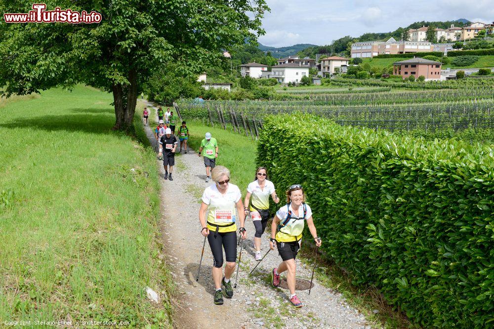 Immagine Una corsa podistica nelle campagne di Mendrisio in Svizzera, Canton Ticino - © Stefano Ember / Shutterstock.com