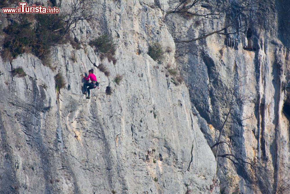 Immagine Una delle rinomate pareti di roccia a Lumignano di Longare, nel Veneto