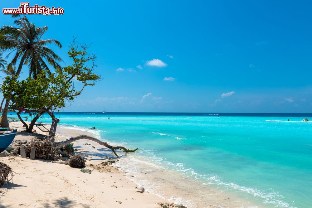 Immagine Una delle spiagge dell'isola di Maafushi alle Maldive fotografata in inverno