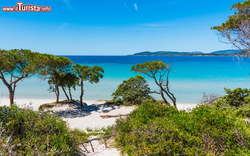 Immagine Una delle spiagge più belle di Alghero: Maria Pia beach in Sardegna, con sabbie bianche e acque turchesi.