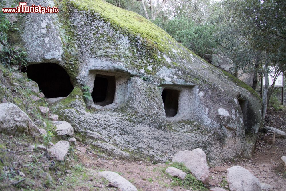 Immagine Una Domus de Janas tipica sarda a Cardedu