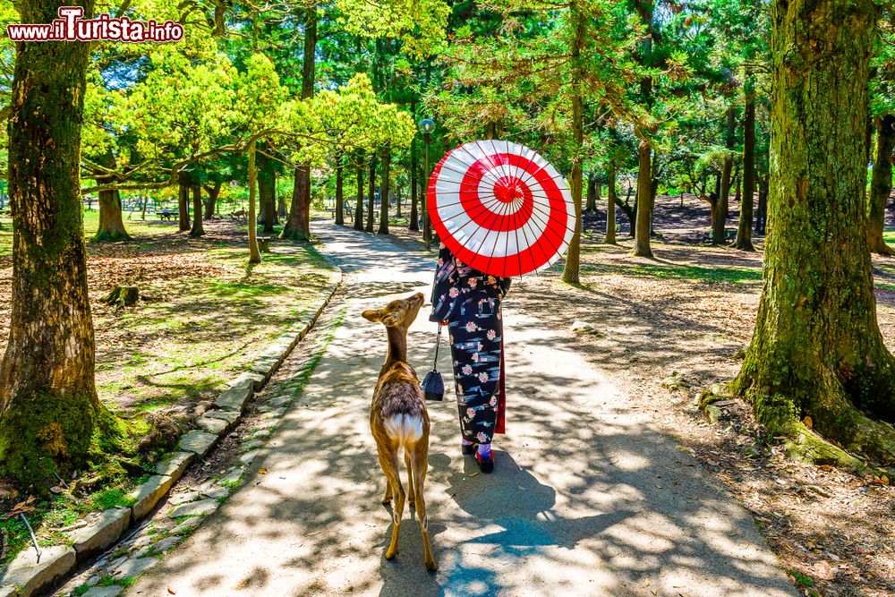 Immagine Una donna con un tradizionale kimono e un cervo in un parco di Nara, Giappone. 