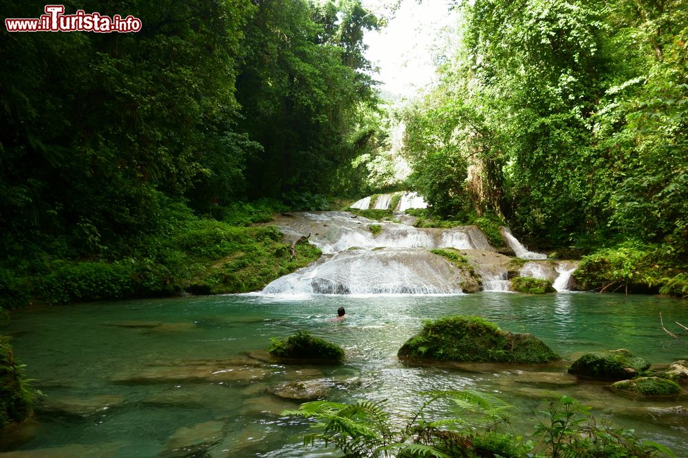 Immagine Una donna nuota nell'acqua delle Reach Falls nei pressi di Port Antonio, Giamaica. Si tratta di una delle principali attrazioni della parrocchia di Portland.