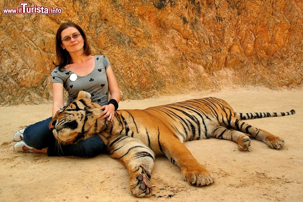 Immagine Una donna posa per una fotografia con una tigre nel Kanchanaburi, Thailandia.