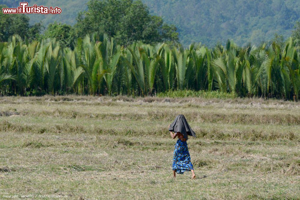 Immagine Una donna si ripara dal sole in un campo nelle campagne di Myeik, sud del Myanmar - © amnat30 / Shutterstock.com