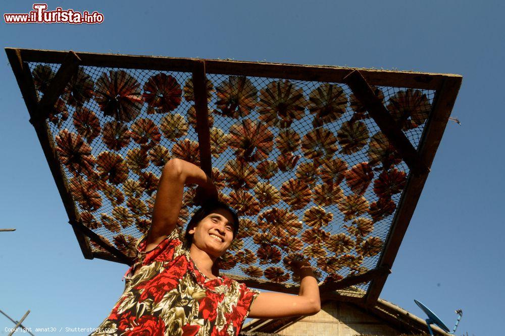 Immagine Una donna trasporta pesce essiccato su una rete nella città di Myeik, sud del Myanmar - © amnat30 / Shutterstock.com