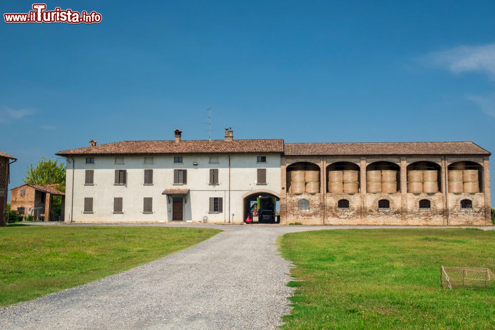 Immagine Una fattoria di campagna vicino a Cortemaggiore in Emilia