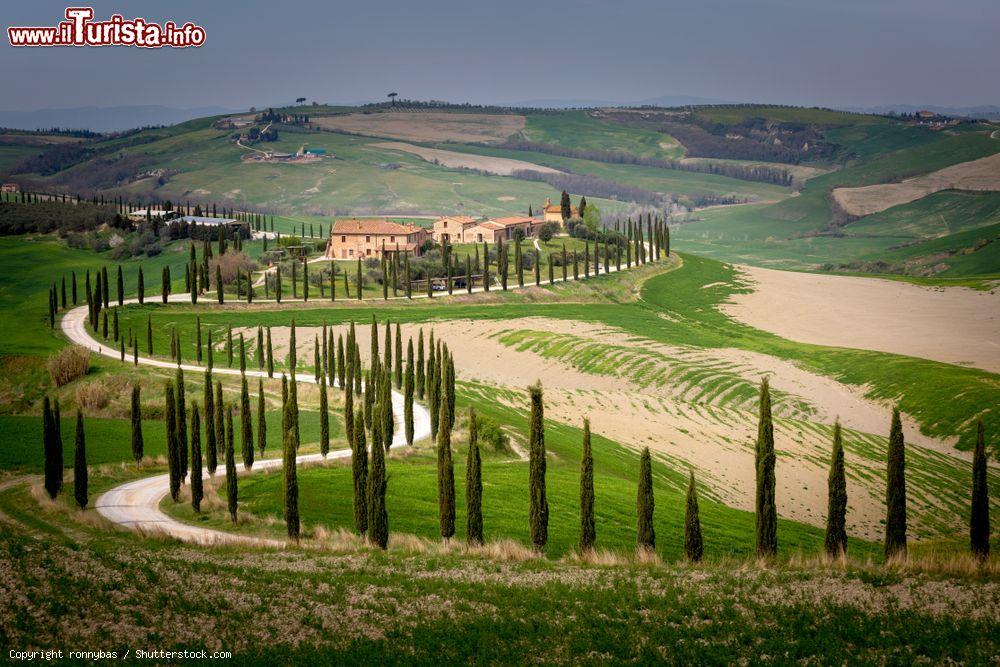 Le foto di cosa vedere e visitare a Asciano