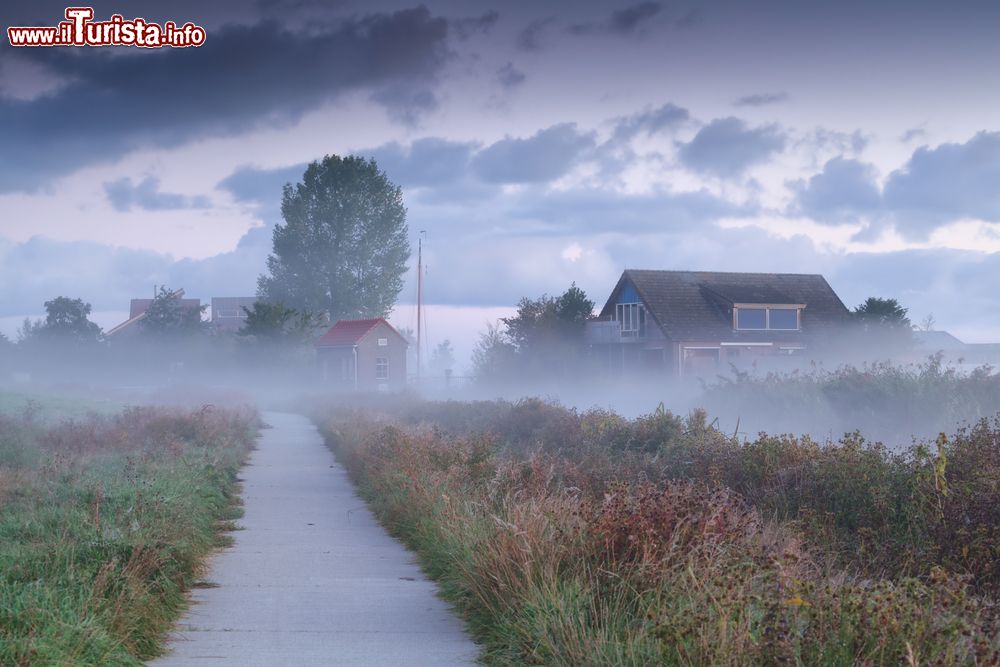 Immagine Una fattoria olandese, nella campagna della Drenthe, in una giornata di fitta nebbia. Il territorio pianeggiante della Drenthe consiste principalmente in terra incolta utilizzata per l'allevamento.