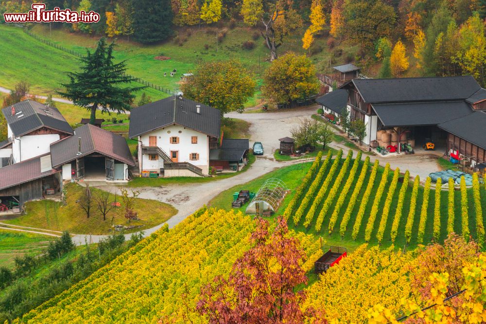 Immagine Una fattoria vicino a Novacella di Varna, fotografata in autunno