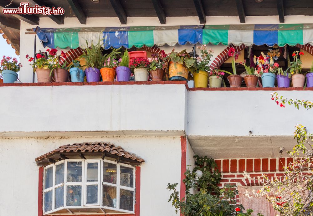 Immagine Una fila di vasi colorati sulla terrazza di una casa a Janitzio, Messico.