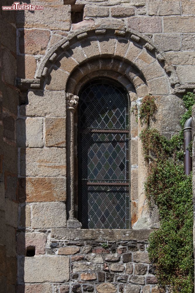 Immagine Una finestra con vegetazione sulla facciata della chiesa di Saint-Leger a Cognac, Francia.