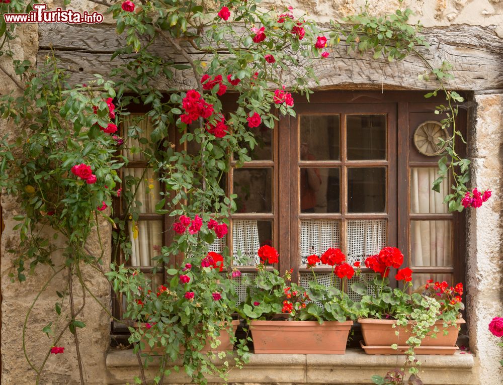 Immagine Una finestra decorata con piante e fiori colorati nel centro storico di Perouges, Francia.
