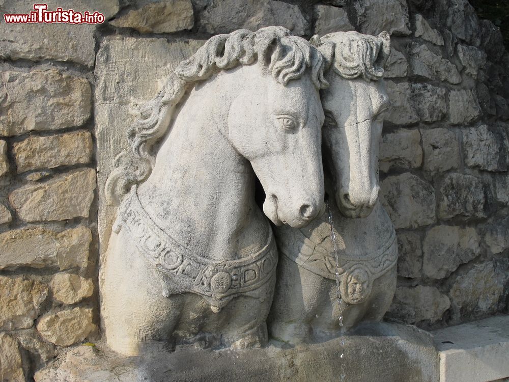 Immagine Una fontana con scultura di cavalli a Creazzo di Vicenza