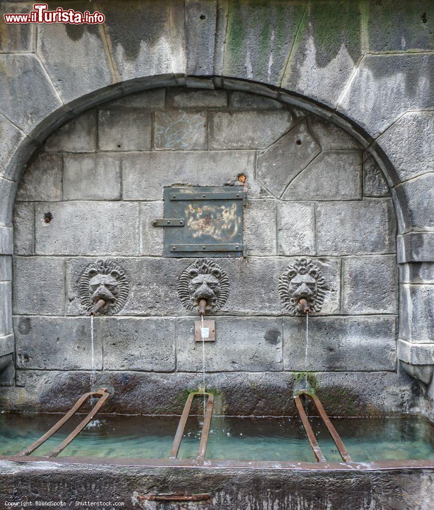 Immagine Una fontana d'acqua potabile nel centro di Clermont-Ferrand, Francia - © BlindSpots / Shutterstock.com