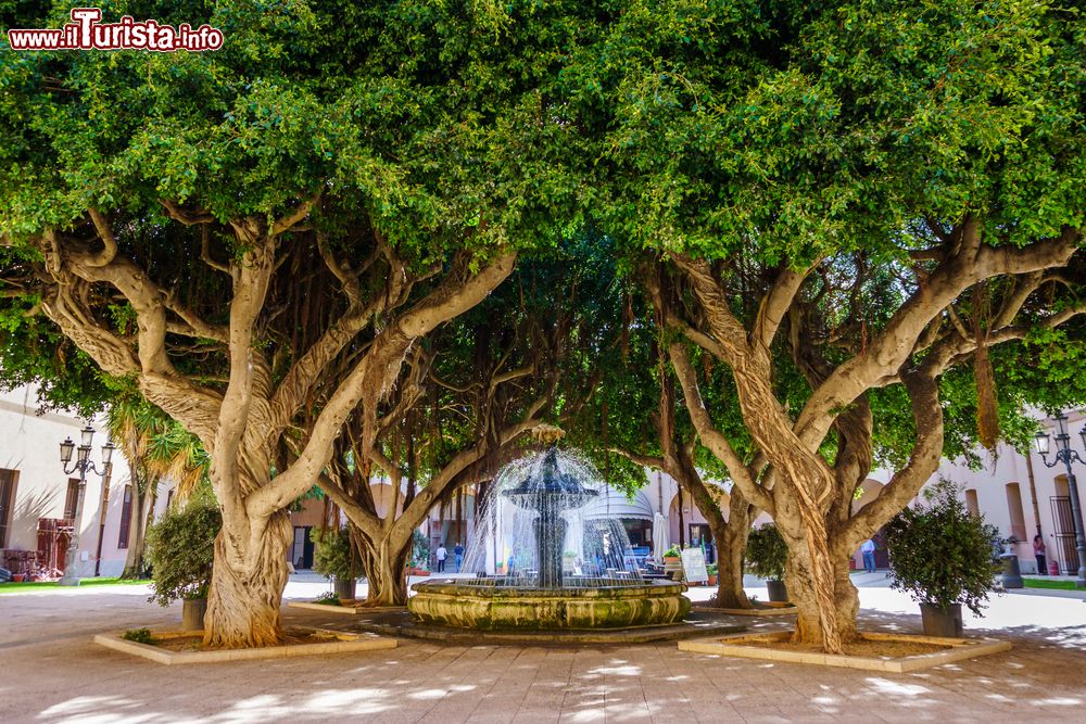 Immagine Una fontana fra grandi alberi in una piazzetta di Marsala, Sicilia.